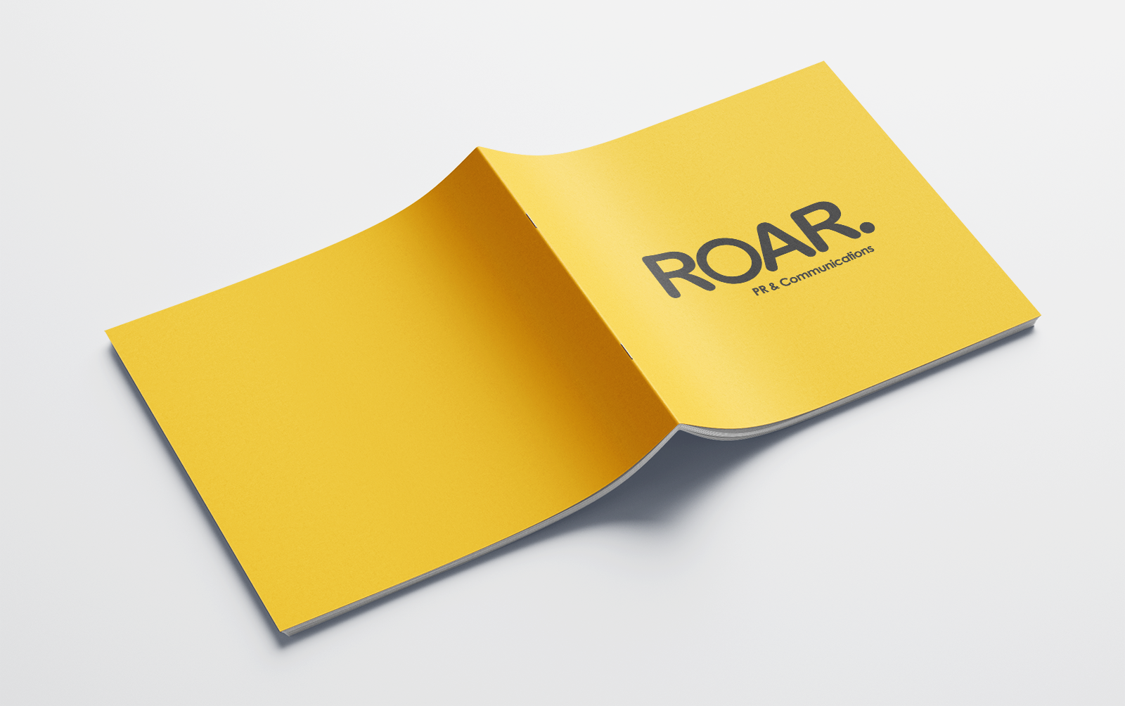 Roar_Body_07